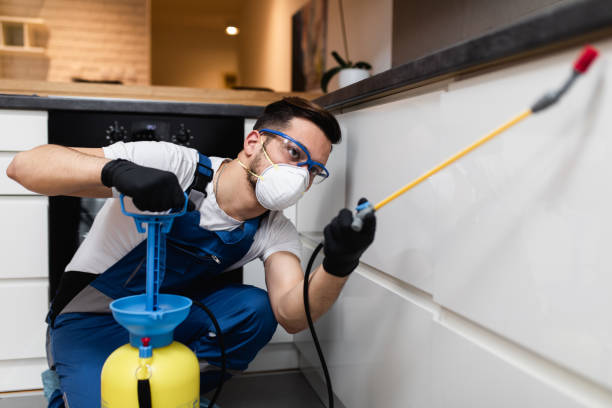 Best Local Pest Control Services  in Guyton, GA