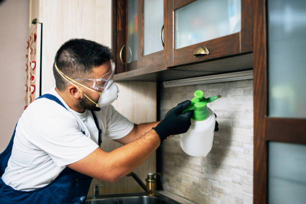 Best Bed Bug Extermination  in Guyton, GA