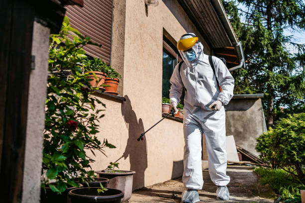 Wasp Removal Services in Guyton, GA
