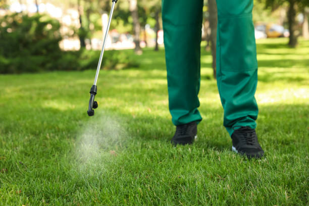 Best Insect Control  in Guyton, GA