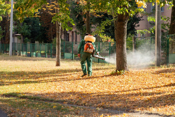 Trusted Guyton, GA Pest Control Experts