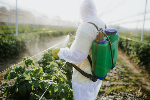 Best Pest Removal Services  in Guyton, GA